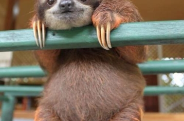 남산위에 저소나무 철갑을 두른듯